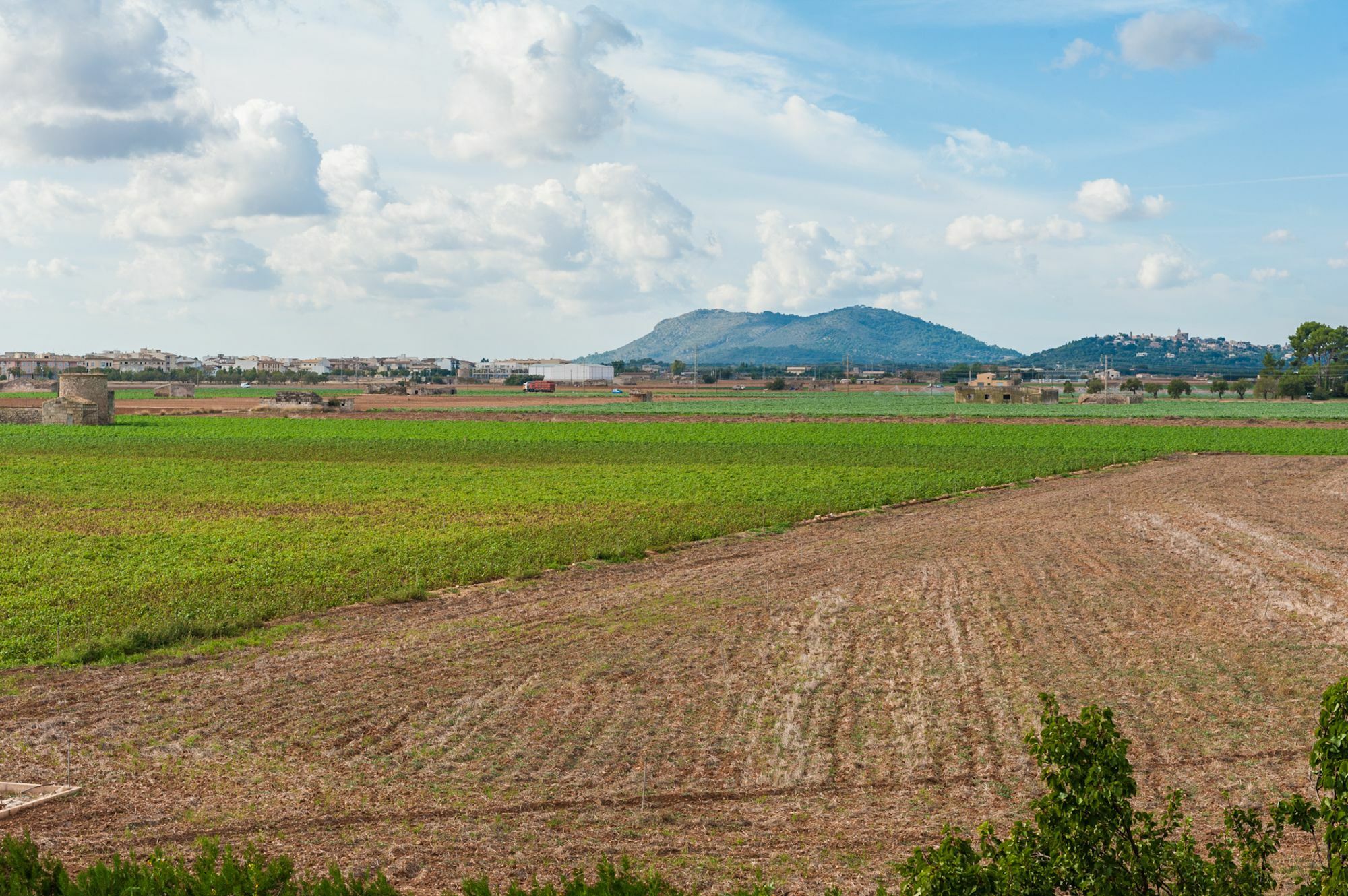 Son Valenti Villa Sa Pobla Bagian luar foto